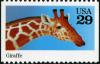 Colnect-4236-870-Giraffe-Giraffa-camelopardalis.jpg