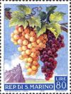 Colnect-481-573-Bunch-of-Grapes-Vitis-vinifera.jpg
