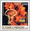 Colnect-5275-164-Aureoboletus-gentilis-Ascocentrum-garayi.jpg