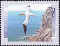 Colnect-588-593-Northern-Gannet-Morus-bassanus.jpg