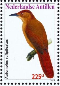 Colnect-3933-750-Buff-throated-Foliage-gleaner%C2%A0%C2%A0%C2%A0%C2%A0Automolus-ochrolaemus.jpg