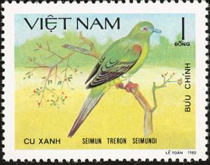 Colnect-1505-365-Yellow-vented-Green-pigeon-Treron-seimundi.jpg