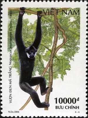 Colnect-1621-061-White-cheeked-Gibbon-Hylobates-leucogenys.jpg