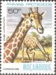 Colnect-1116-748-Giraffe-Giraffa-camelopardalis.jpg
