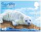 Colnect-6440-757-Grey-Seal-Pup.jpg