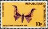 Colnect-1054-198-Moth-Holocerina-angulata.jpg