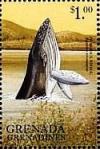 Colnect-4213-518-Humpback-whale.jpg