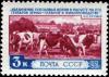 Colnect-4840-706-Herd-of-Cattle.jpg