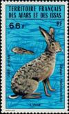 Colnect-793-037-Abyssinian-Hare-Lepus-habessinicus.jpg