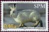 Colnect-878-730-Arctic-Hare-Lepus-arcticus.jpg