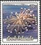 Colnect-2240-897-Disk-Coral-Heliofungia-actiniformis.jpg