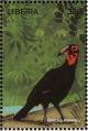 Colnect-3811-695-Southern-Ground-Hornbill-Bucorvus-leadbeateri.jpg