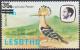 Colnect-4202-274-African-Hoopoe-Upupa-africana.jpg