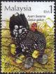 Colnect-4217-909-Serama-Bantom-Hen-Gallus-gallus-domesticus.jpg