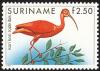 Colnect-1504-646-Scarlet-Ibis-Eudocimus-ruber-.jpg