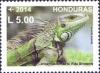 Colnect-2997-884-Green-Iguana-Iguana-iguana.jpg