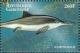 Colnect-5235-342-Ichthyosaurus.jpg