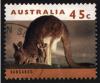 Colnect-1472-368-Eastern-Grey-Kangaroo-Macropus-giganteus.jpg