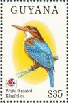 Colnect-1664-218-White-throated-Kingfisher-Halcyon-smyrnensis.jpg