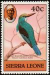 Colnect-2274-026-Blue-breasted-Kingfisher-Halcyon-malimbica.jpg