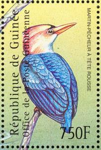 Colnect-3804-321-African-Dwarf-Kingfisher-Ispidina-lecontei.jpg