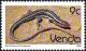 Colnect-2840-115-Yellow-throated-Plated-Lizard-Gerrhosaurus-flavigularis-fla.jpg