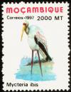 Colnect-3370-394-Mycteria-ibis.jpg