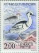 Colnect-146-146-Smew-Mergellus-albellus.jpg