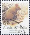 Colnect-1993-039-Greater-Stick-nest-Rat-Leporillus-conditor.jpg