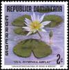 Colnect-5239-476-Nymphaea-ampla.jpg