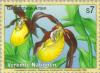 Colnect-139-049-Lady-s-slipper-orchid-Cypripedium-calceolus.jpg