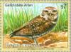 Colnect-139-108-Burrowing-Owl-Athene-cunicularia.jpg