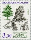 Colnect-145-647-Tree-English-Oak---Quercus-pedunculata.jpg
