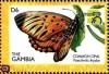 Colnect-3505-585-Trimen-s-Opal-Poecilmitis-thysbe.jpg