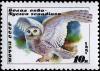 Colnect-4076-450-Snowy-Owl-Bubo-scandiacus.jpg