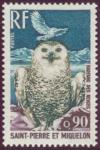 Colnect-875-198-Snowy-Owl-Bubo-scandiacus.jpg