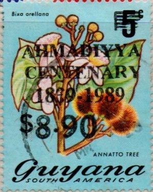Colnect-4908-745-890-on-5c-Annatto-Tree.jpg