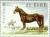 Colnect-128-643-Draught-Horse--quot-King-of-Diamonds-quot--Equus-ferus-caballus.jpg