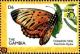 Colnect-3505-585-Trimen-s-Opal-Poecilmitis-thysbe.jpg