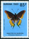 Colnect-5247-954-Two-tailed-Pasha-Charaxes-epijasius.jpg