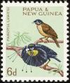 Colnect-5924-792-Lawes--s-Parotia-Parotia-lawesi.jpg