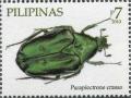 Colnect-2853-281-Beetle-Paraplectrone-crassa.jpg