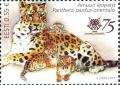 Colnect-3497-865-Amur-Leopard-Panthera-pardus-orientalis.jpg