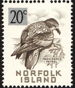 Colnect-1470-286-Providence-Petrel-Pterodroma-solandri---surcharged.jpg