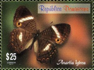 Colnect-3164-523-Godart-s-Peacock-Anartia-lytrea.jpg