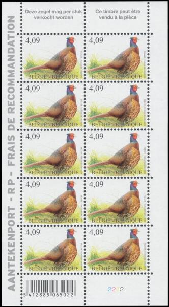 Colnect-5418-857-Common-Pheasant-Phasianus-colchicus-mini-sheet.jpg