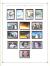 WSA-South_Georgia-Postage-2005-06.jpg