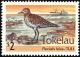 Colnect-1458-500-Pacific-Golden-Plover-Pluvialis-fulva-nbsp-.jpg