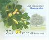 Colnect-2629-565-Quercus-robur-Flora-of-Russia.jpg