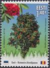 Colnect-5065-554-European-rowan-Sorbus-aucuparia.jpg
